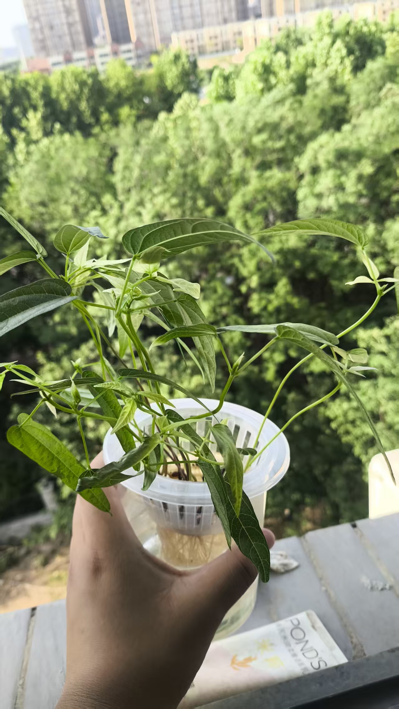 e1e1e08f436171cd2b271474aaa44528