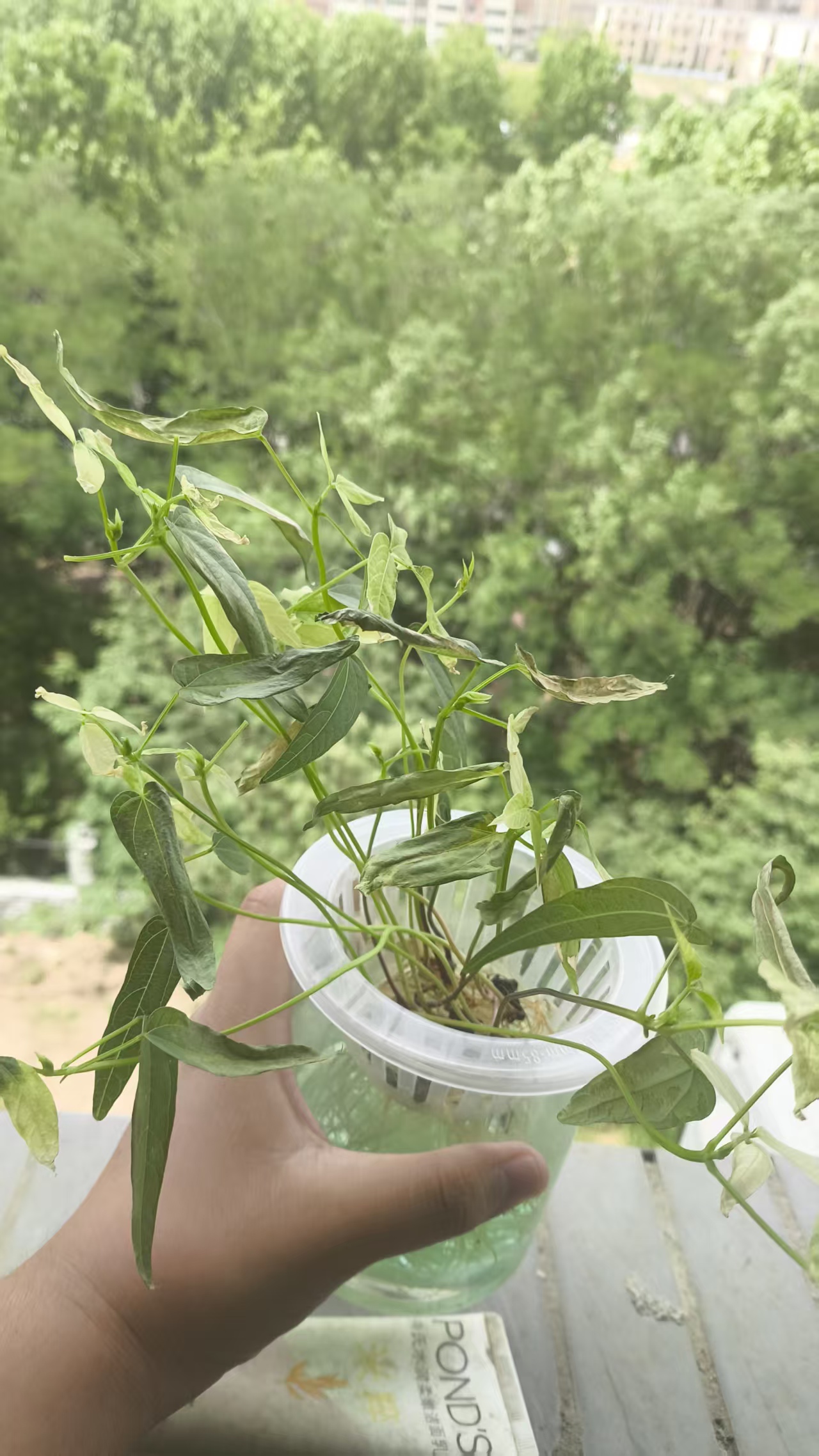 7c415a16024cdfee29e9b8ca2d188248