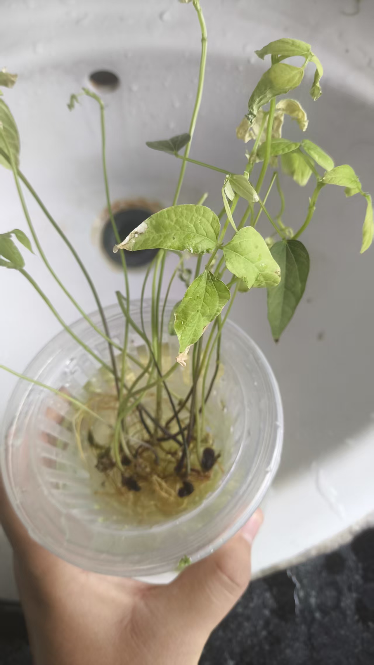 69ebdf20db6e22b06c8db90b5f6ca7a1