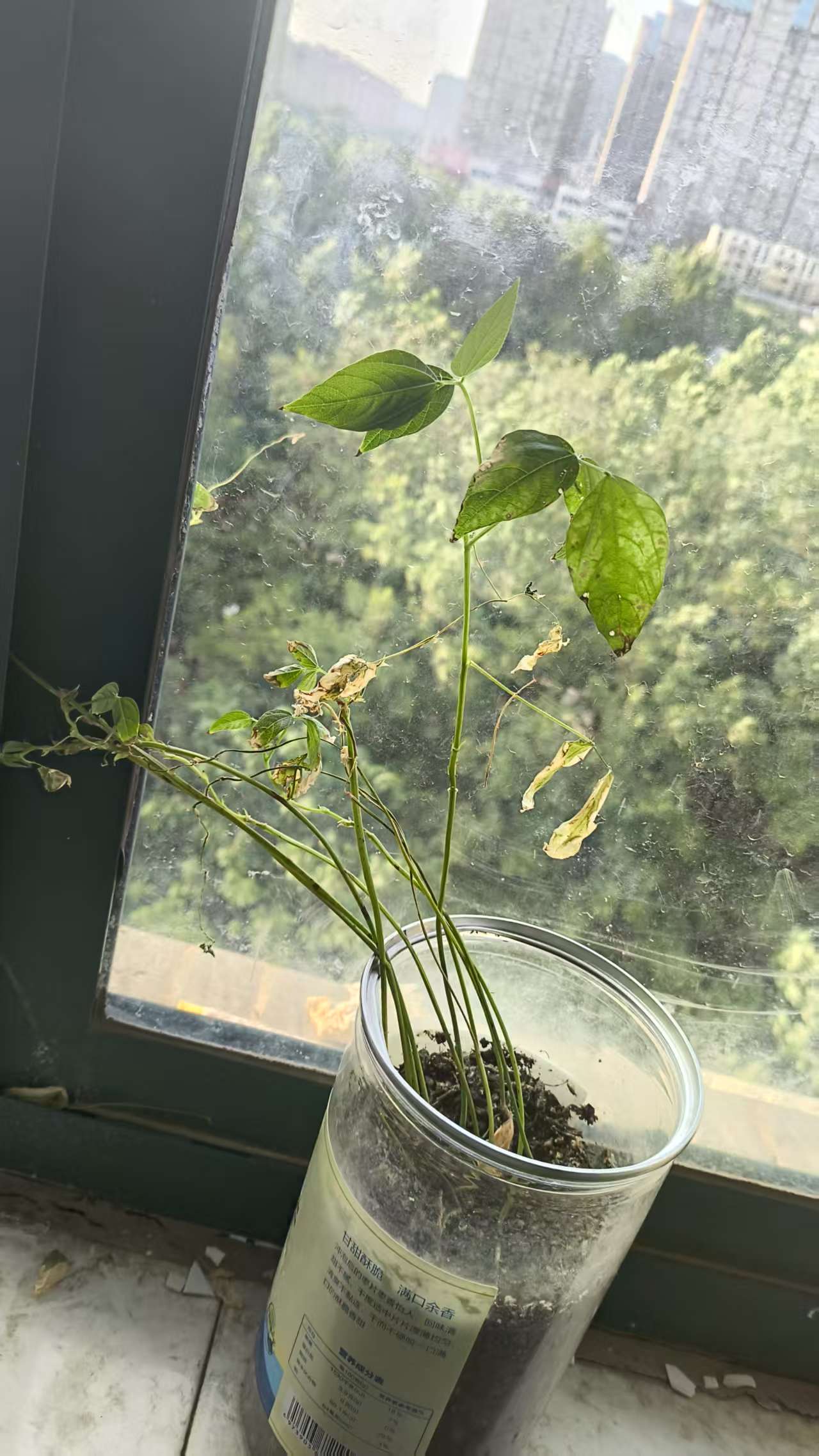 d3a87149dd86c44920109d57f71d14b2