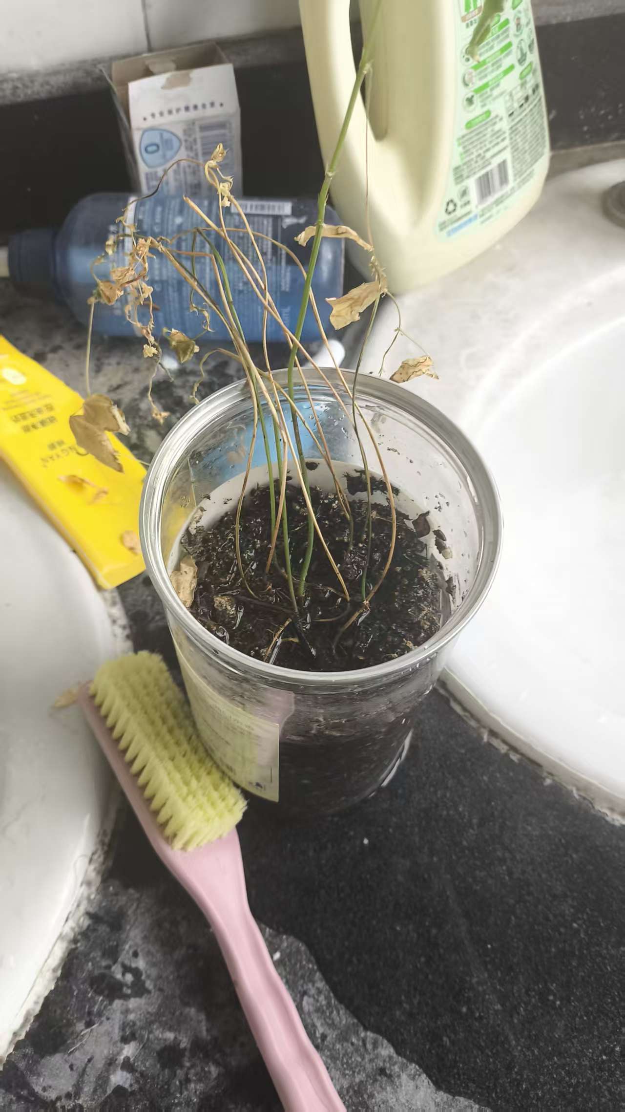 1bf401395d2fc1f87e582b0aa2ef8274