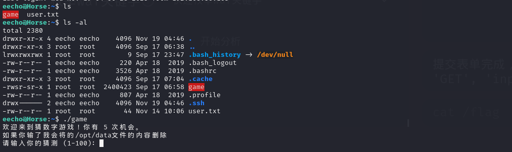 image-20251119181208274
